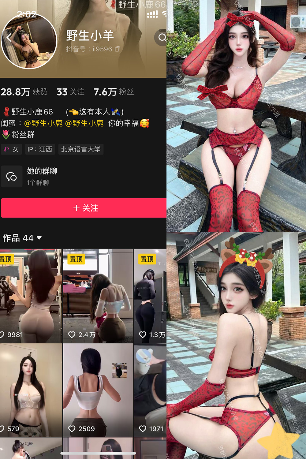 野生小羊 铁粉空间 NO.008期